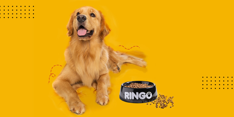 ¿Cómo ayuda Ringo Premium a los perros?
